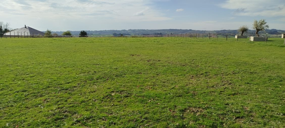 TERRAIN VIABILISE CASTANET